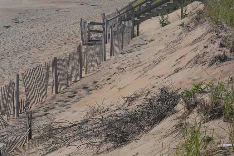 beach scene